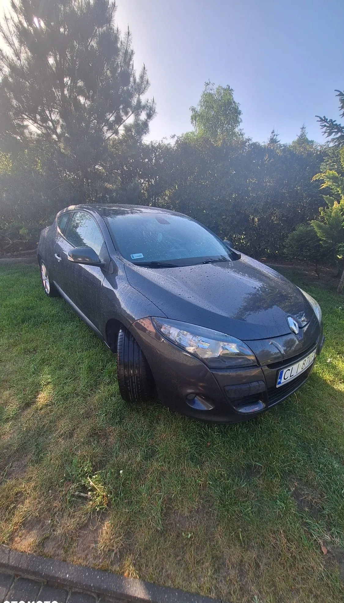 Renault Megane cena 20500 przebieg: 156523, rok produkcji 2009 z Lipno małe 121